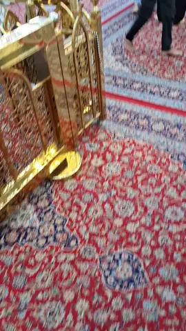 ابو فاضل حلفتك البارحه باام البنين ان شافي ابويه وتخليني ع خدمة خدم الحسين @هيئة الحوراء زينب 🖤 