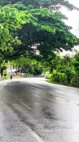 🤩🤩#trukaceh #hino_gacor🔥🥵 #rmtgroup88 #3sekawanrmt#ffyyyyyppppppp @Tokber88 @adey_putra 50🔰 @rahmathdyt29_ @Nanda pratama46  @ishaq_M 99 @abu_din77 @🅁🄸🄵🄰🄻 