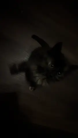 she’s a lil menace😭