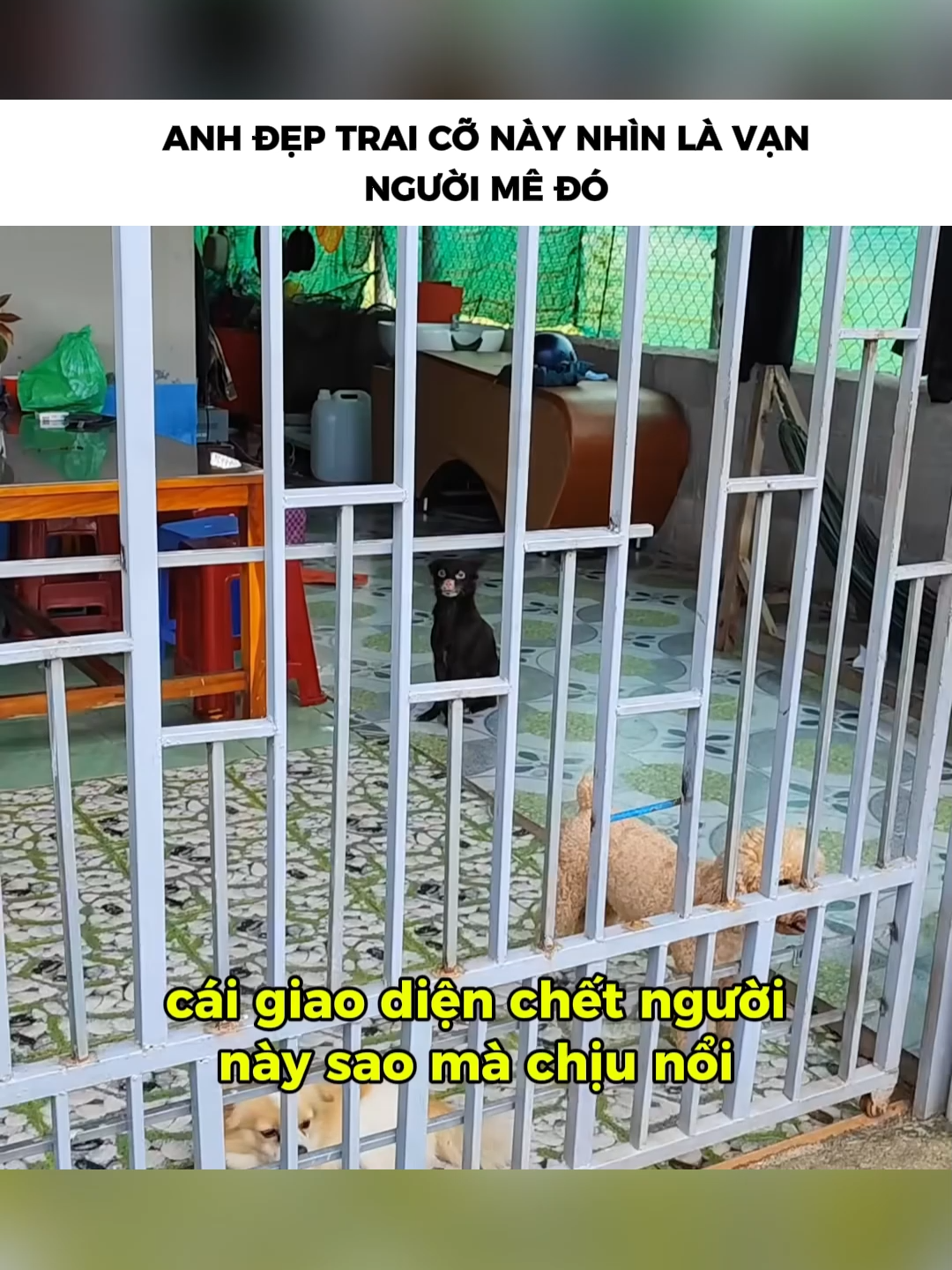 Anh đẹp trai cỡ này nhìn là vạn người mê đó