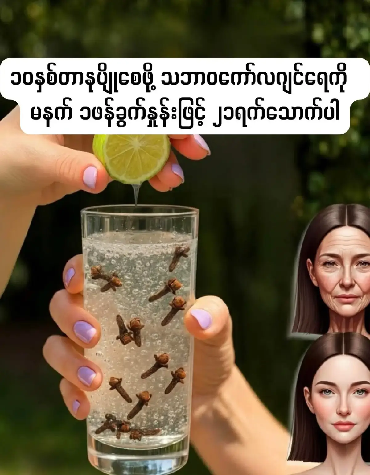 🍋 DIY ကော်လာဂျင် အဖျော်ယမကာ (လေညင်းပွင့်နှင့် သံပုရာသီး) : အရေးအကြောင်းကင်းစင်ကာ ကြည်လင်ဝင်းပသော အသားအရေ ကော်လာဂျင်ဆိုသည်မှာ အရေပြားကို ချောမွေ့တင်းရင်းစေသည့် ဖွဲ့စည်းတည်ဆောက်မှု ပရိုတင်းတစ်မျိုးဖြစ်သော်လည်း အသက် ၂၀ ကျော်ပြီးနောက် သဘာဝအတိုင်း ထုတ်လုပ်မှု လျော့နည်းလာပါသည်။ ဒါကြောင့် မီးဖိုချောင်မှာရှိတဲ့ ဆေးဖက်ဝင်ပစ္စည်းများနဲ့ မိမိအသားရေကိုပြန်လည်နုပျိုတင်းရင်းစေတဲ့ လေညင်းပွင့်တွင်  ယူဂျီနော (Eugenol) ဓာတ်တိုးဆန့်ကျင်ပစ္စည်း ပါဝင်သောကြောင့် ကော်လာဂျင်ကို လှုံ့ဆော်ပေးပြီး၊ သံပုရာရည်တွင် ဗီတာမင်စီ ကြွယ်ဝကာ ကော်လာဂျင်ဖိုက်ဘာအသစ်များ ဖွဲ့စည်းရန် အဓိက အထောက်အကူဖြစ်သည်။ ဂျင်း၊ နနွင်း၊ ပျားရည်၊ ပူဒီနာနှင့် ငရုတ်ကောင်းမည်းတို့က ရောင်ရမ်းမှုကို တိုက်ဖျက်ပေးခြင်း၊ အာဟာရစုပ်ယူမှုကို မြှင့်တင်ပေးခြင်းနှင့် အသားအရေကို တောက်ပစေခြင်း စသည့် အကျိုးကျေးဇူးများကို ပေးပါသည်။ ပါဝင်ပစ္စည်းများ (တစ်ခွက်စာ ၃၀၀ မီလီလီတာ): • လေညင်းပွင့် အလုံး ၅-၆ ပွင့် (အနည်းငယ်ထောင်းပါ) • သံပုရာရည် လတ်ဆတ်စွာ ညှစ်ထားသော 1/2လုံး (လက်ဖက်ရည်ဇွန်း ၁ ဇွန်းခန့်) • ဂျင်း လတ်ဆတ်သော ၁ စင်တီမီတာ (ပါးပါးလှီး သို့မဟုတ် ခြစ်ပါ) • နနွင်းမှုန့်1/4လက်ဖက်ရည်ဇွန်း • ပျားရည် လက်ဖက်ရည်ဇွန်း ၁ ဇွန်း • ပူဒီနာရွက် ၆-၈ ရွက် • ငရုတ်ကောင်းမည်း အနည်းငယ် • ရှားစောင်းလက်ပတ်ရည် ၃၀ မီလီလီတာ (နှစ်သက်လျှင် ထည့်ပါ) ပြုလုပ်နည်းအဆင့်ဆင့်: 1. ရေ ၂၅၀ မီလီလီတာကို အိုးငယ်တစ်ခုတွင် တည်ပါ။ လေညင်းပွင့်၊ ဂျင်းနှင့် နနွင်းမှုန့် ထည့်ပြီး မီးအေးအေးဖြင့် ၅ မိနစ်ခန့် ချက်ပါ။ 2. မီးပိတ်ပြီး ၂ မိနစ်ခန့် အအေးခံပါ။ (၄၅ ဒီဂရီ စင်တီဂရိတ်ခန့်)။ 3. အရည်ကို ဇကာဖြင့် စစ်ထုတ်ပြီး ပျားရည်၊ သံပုရာရည်၊ ငရုတ်ကောင်းမည်း၊ ပူဒီနာရွက်နှင့် ရှားစောင်းလက်ပတ်ရည် တို့ကို ထည့်၍ သမအောင် မွှေပါ။ 4. သောက်သုံးရန် သင့်တော်သော အပူချိန်ရရှိစေရန် အခန်းအပူချိန်ရှိ ရေ ၅၀ မီလီလီတာ ထပ်ထည့်ပါ။ သောက်သုံးရန် အကြံပြုချက်: • အချိန်: နံနက်ပိုင်း၊ ဗိုက်ထဲတွင် ဘာမှမရှိမီ ဖြည်းဖြည်းချင်း သောက်ပါ။ • အကြိမ်ရေ: တစ်ပတ်လျှင် ၄-၅ ရက် သောက်သုံးပြီး ၂ ရက်နားပါ။ • သိမ်းဆည်းခြင်း: ကြိုတင်ပြင်ဆင်ထားပါက ရေခဲသေတ္တာထဲတွင် ၂၄ နာရီအထိ ထားနိုင်ပြီး အပူပြန်ပေးသည့်အခါ မဆူအောင် ဂရုစိုက်ပါ။ ဤအဖျော်ယမကာသည် သင့်အသားအရေကို ကော်လာဂျင်ကြွယ်ဝစေပြီး သဘာဝအတိုင်း တောက်ပစေရန်အတွက် အလွယ်ကူဆုံးနှင့် အသက်သာဆုံး နည်းလမ်းတစ်ခုဖြစ်သည်။