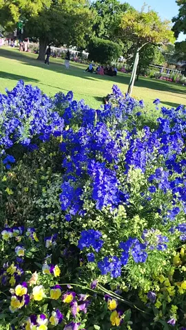 #❤❤❤ #❤❤❤ #