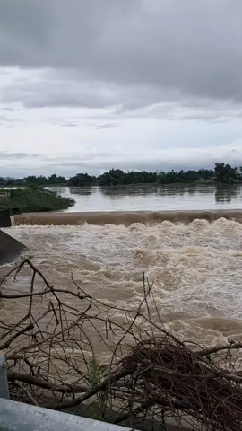 Phường An Nhơn Tỉnh Gia Lai