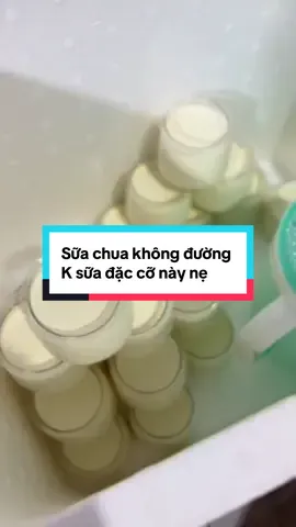 Sữa chua không đường không sữa đặc cỡ này nẹ mấy bà uii. Qua khách đặt riêng mẻ sữa chua không đường cho người ăn k.iên nẹ. Nhìn chất mê k kém gì sữa chua nguyên vị truyền thống mí b ơi #suachuakhongduong #suachuaankieng #bepsachcoto #suachuanhalam #khởinghiệp 