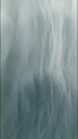 Tuhi meri jaaan!!🥹❤️‍🩹@👑𝐀𝐇𝐌𝐄𝐃 𝐅𝐀𝐈 𝐙𝐔🇲🇻✈️  #foryoupage #bdtiktokofficial 