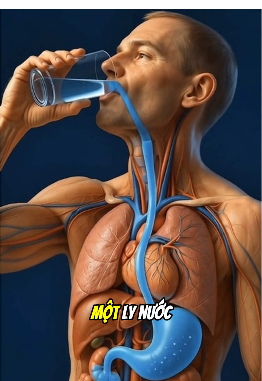 Sự thật phũ phàng khi bạn uống nước đá mỗi ngày 👍 #healthy #nước #chamsocsuckhoe #totchosuckhoe #xuhuongtiktok 