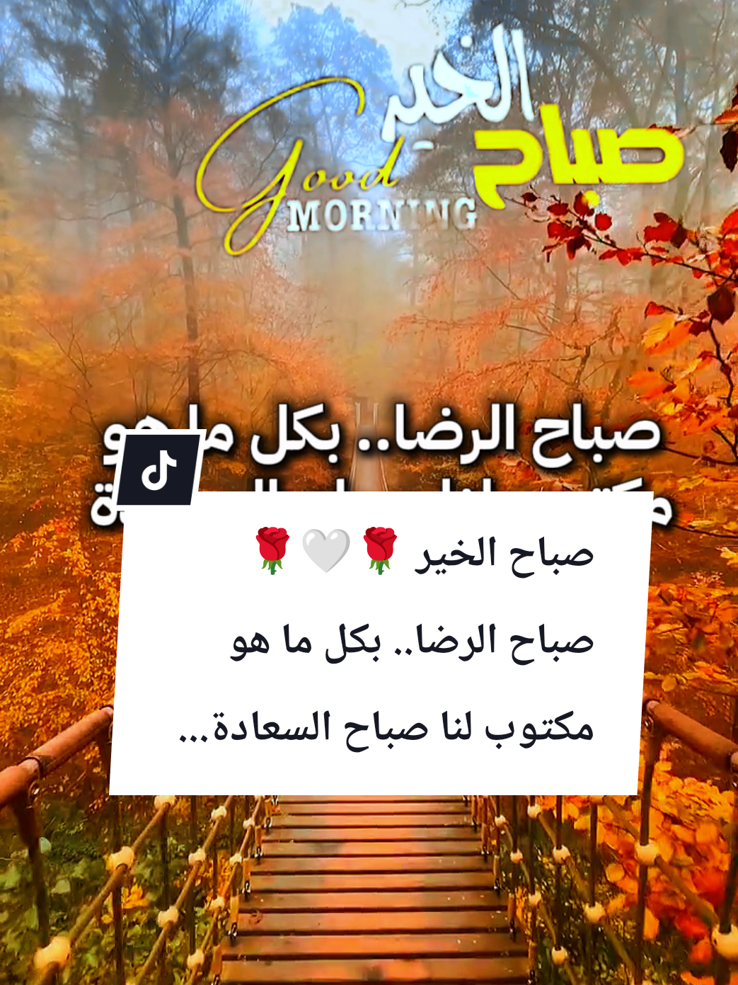 #souzan396 #صباح_الخير  صباح الخير🤍🌹☕ صباح الرضا.. بكل ما هو مكتوب لنا صباح السعادة...