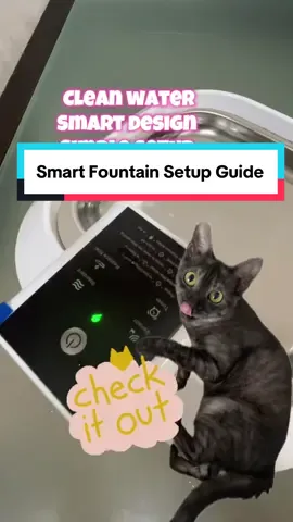 Here’s a quick setup guide 😊 it’s simple, wireless, and perfect for busy pet parents like me 🤭. #createtowin #petswaterfountain #smartwaterfountain #wirelesswaterfountain #petwaterdispenser 
