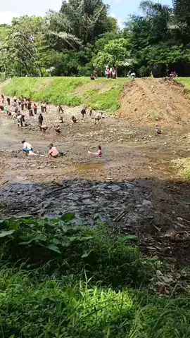info anu Bade ngala remis Danau batu karut nuju disaatan