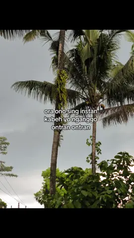 #masukberanda #bahanswmu #fypage 