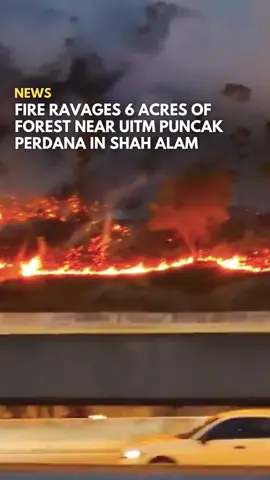About six acres of forest near UiTM Puncak Perdana in Shah Alam, Selangor, caught fire on Wednesday, 29 October. According to Malay Mail, Selangor Fire and Rescue Department assistant director of operations Ahmad Mukhlis Mokhtar said firefighters from Bukit Jelutong, Kapar, and Sungai Buloh stations were dispatched after receiving a call at 4.15pm. Firefighters managed to contain the blaze to about 0.8 hectares, preventing it from spreading to the UiTM Puncak Perdana campus. As of 6.30pm, efforts to fully extinguish the flames were still underway. Fortunately, no injuries were reported, and the fire did not spread to the university campus. Click the link or head to www.says.com for the full story. #SAYSnews