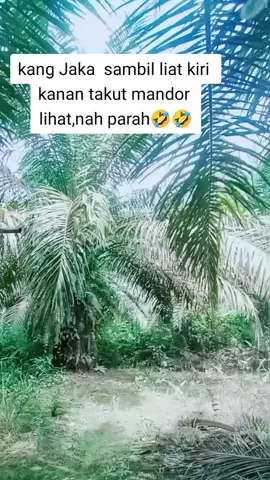bakat yg tenggelam🤣🤣