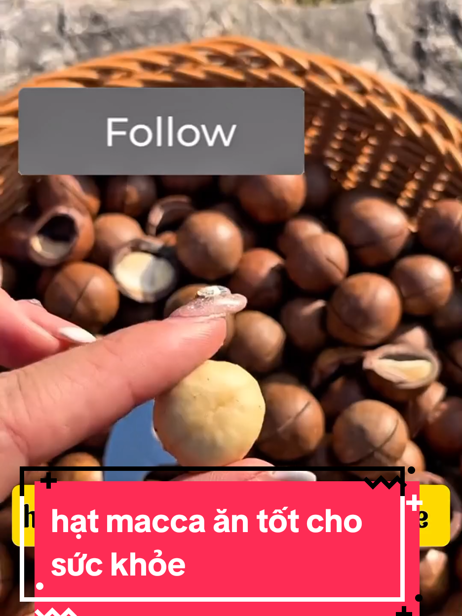 hạt macca ăn tốt cho sức khỏe Bổ sung dinh dưỡng #hatmacca #hatmaccadaklak #xuhuongtiktok 