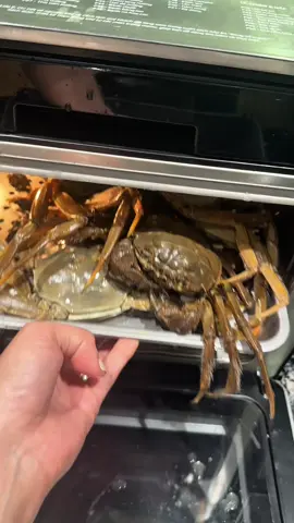 Người ta sang Thượng Hải ăn cua lông sang chảnh. Tôi ở Việt Nam ăn cà ra dân dã mà gạch tràn mép. Cua lông Thượng Hải bay 2000 cây mới tới miệng. Cà ra Việt Nam chỉ cần ra chợ đầu ngõ – tươi, béo, thơm, không cần visa nhé các bác 🤭 #cualongthuonghai #caravietnam#doanvietnam #food #homnayangi 