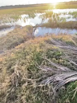 nhưng mà trách sao được em ơi #ilovetiktok #chill #xuhuongtiktok 