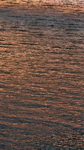 time to pause. the river in portland, oregon