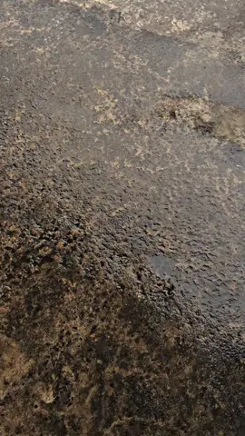 พร้อมขึ้นเขียง #ninja400 #ท้ายเขมราฐ #บิ๊กไบค์ #fyp #CapCut 