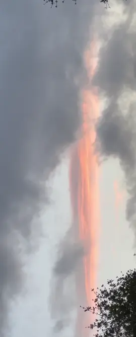 #3IAtlas #WeAreNotAlone #CollectiveAwakening  #UnityRising  #fyp