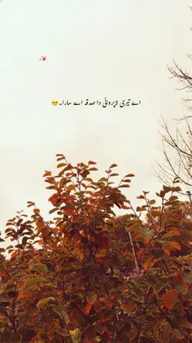 زندگی میں دو انسان صرف ایک بار ملتے ہیں، اور اگر وہ ایک دوسرے سے بچھڑ جائیں تو ان کا دوبارہ ملنا اكثر ناممکن سا ہو جاتا ہے ۔ مگر سوال یہ ہے کہ تم جانتے بھی ہو ملنے اور بچھڑنے کا اصل مطلب کیا ہے ؟ ملنا صرف آنکھوں کے سامنے آ جانا نہیں ہوتا ، بلکہ روحوں کا جڑ جانا ہوتا ہے ۔ اور بچھڑنا صرف جسموں کا فاصلے پر ہو جانا نہیں، بلکہ دل کی گہرائیوں میں ایسی خالی جگہ چھوڑ جانا ہے جو وقت گزرنے کے باوجود کبھی پر نہیں ہو پاتی۔ یہی ملنا اور یہی بچھڑنا انسان کو ہمیشہ کے لیے بدل دیتا ہے ...!!!💔   🥺 (Must Repost🫀) #foryou #foryourpages #poetry #aesthatic #poetrystatus 