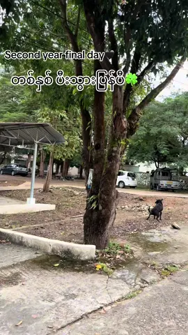 #တစ်နှစ်ပီးသွားပြန်ပီ🤍🤍 #myeikuniversity 