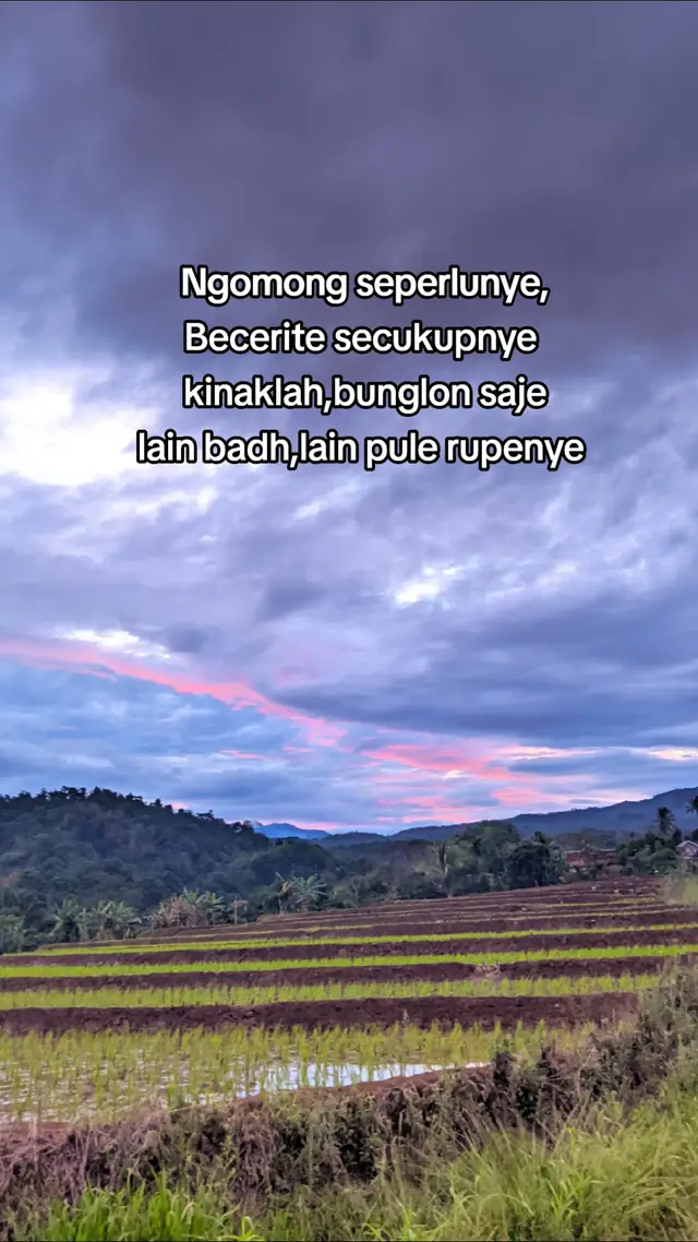 jadi sekirenye saje auuu #semendeasli😁 #jukubatu #pagaralam_salam_jeme_kite #katekateringkih #semende #pyp 