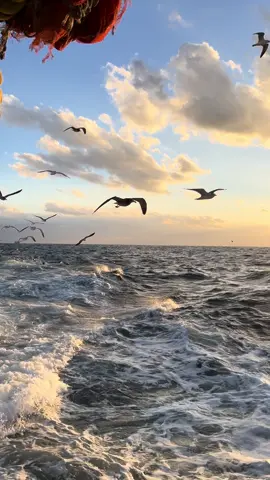 Cach xa nhau lam gi de gio day phai chiu don dau them phan..