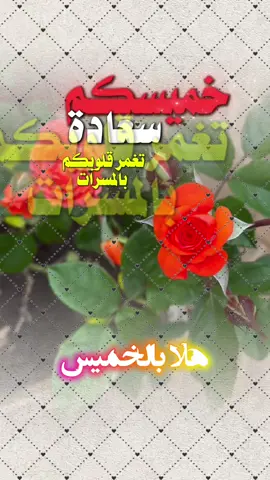 #خميسكم_فله_وسعآده_يآرب🌺🌺 