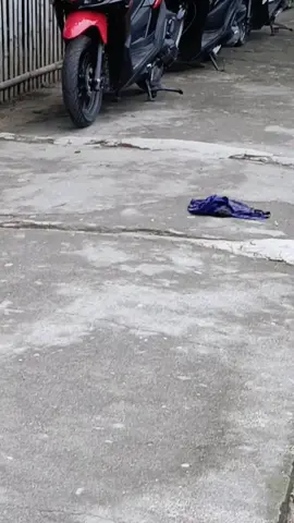 ijin pinjam sound🙏🏼 miness blm cuci🤣#fyp #vario #aeroxmodifikasi 