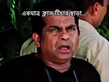 আসলে বলার মতো ভাষা নেই