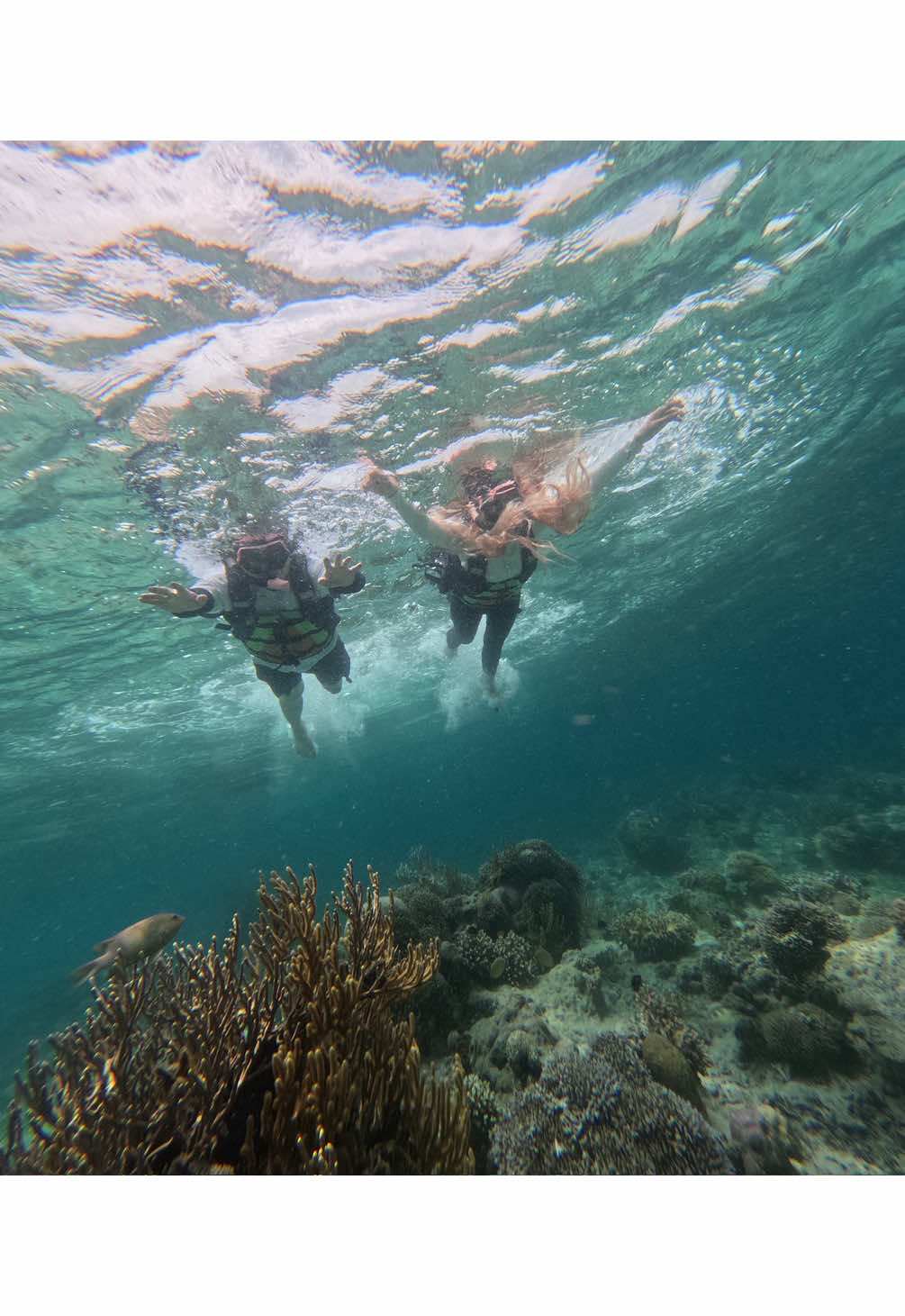Sungguh beruntung hari ini bisa snorkeling dan ketemu langsung dengan manta 🥰 indahnya negeri Indonesia 👍. #labuanbajo #snorkeling #mantapoint #sailingtrip #labuanbajoindonesia 