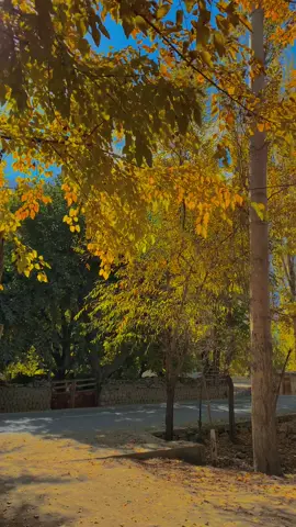 ‎خزاں کی رُت میں گلاب لہجہ بنا کے رکھنا🍂  ‎کمال  یہ ہے ‎ہوا کی زد پہ دیا جلانا ،جلا کے رکھنا کمال یہ ہے ‎ذرا سی لغزش پہ توڑ دیتے ہیں سب تعلق زمانے  ‎والے ‎سو ایسے ویسوں سے بھی تعلق بنا کے رکھنا کمال یہ ہے ‎کسی کو دینا یہ مشورہ کہ وہ دکھ بچھڑنے کا بھول جائیں ‎اور ایسے لمحے میں اپنے آنسو چھپا کے رکھنا کمال یہ ہے  ‎خیال اپنا، مزاج اپنا ،پسند اپنی،کمال کیا ہے ‎جو یار چاہے وہ حال اپنا بنا ک رکھنا کمال یہ  ہے