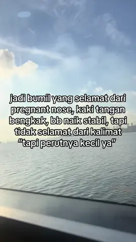 mon maaf, soalnya saya lagi hamil bayi manusia bukan bayi gajah ☺️🙄 #4u #pregnant🤰 #bumilsehatbayisehat🤰♥️😘😘 #astgfirullah #tobatyuk 
