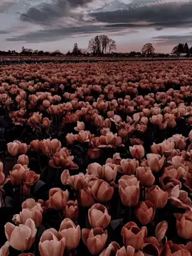 Hmm💯🥺❤️‍🩹🥀 #foryou #foryou #fyp #unfreezemyacount 