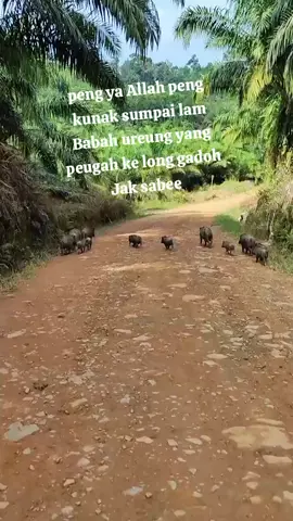 😭🤧 #katakataaceh✨ #fypシ゚  #storywa #bergek