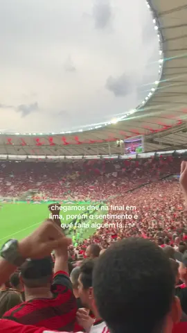 #flamengo #gabigolflamengo #gabigol #libertadores #rossi 