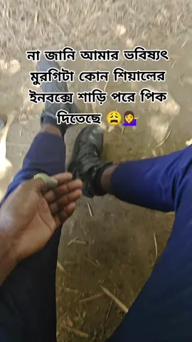 না জানি আমার ভবিষ্যৎ মুরগিটা কোন শিয়ালের ইনবক্সে শাড়ি পরে পিক দিতেছে 😩💁‍♀#পুলিশ #bdpolice❤️🇧🇩 #tendingvideo #vairalvideo #👮‍♂️ 