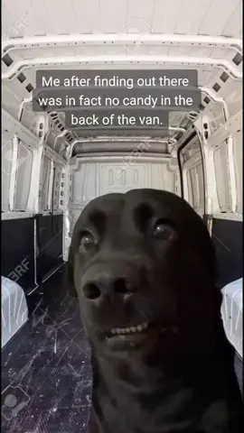 Well damn. #damn #nocandy #forme #kidnapped #vandownbytheriver 