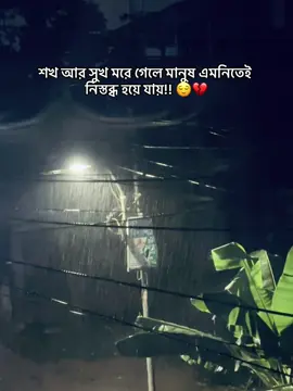 শখ আর সুখ মরে গেলে মানুষ এমনিতেই নিস্তব্ধ হয়ে যায় 🥹💔#foryou #fyppppppppppppppppppppppp #fyp #viral @TikTok @TikTok Bangladesh 