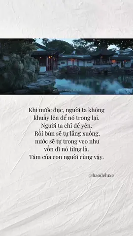 khi lòng rối bời, mọi thứ hỗn loạn, điều cần làm không phải là cố gắng kiểm soát mà là để mọi thứ lắng xuống tự nhiên. Giống như khi để nước yên, bùn sẽ lắng xuống, mọi cảm xúc tiêu cực như buồn, giận, tổn thương rồi cũng sẽ lắng đọng và tâm trí sẽ trở nên trong sáng trở lại. #phatphapnhiemmau #hocphatmoingay #nammoadidaphat #chualanhtamhon #tamtrang_camxuc 