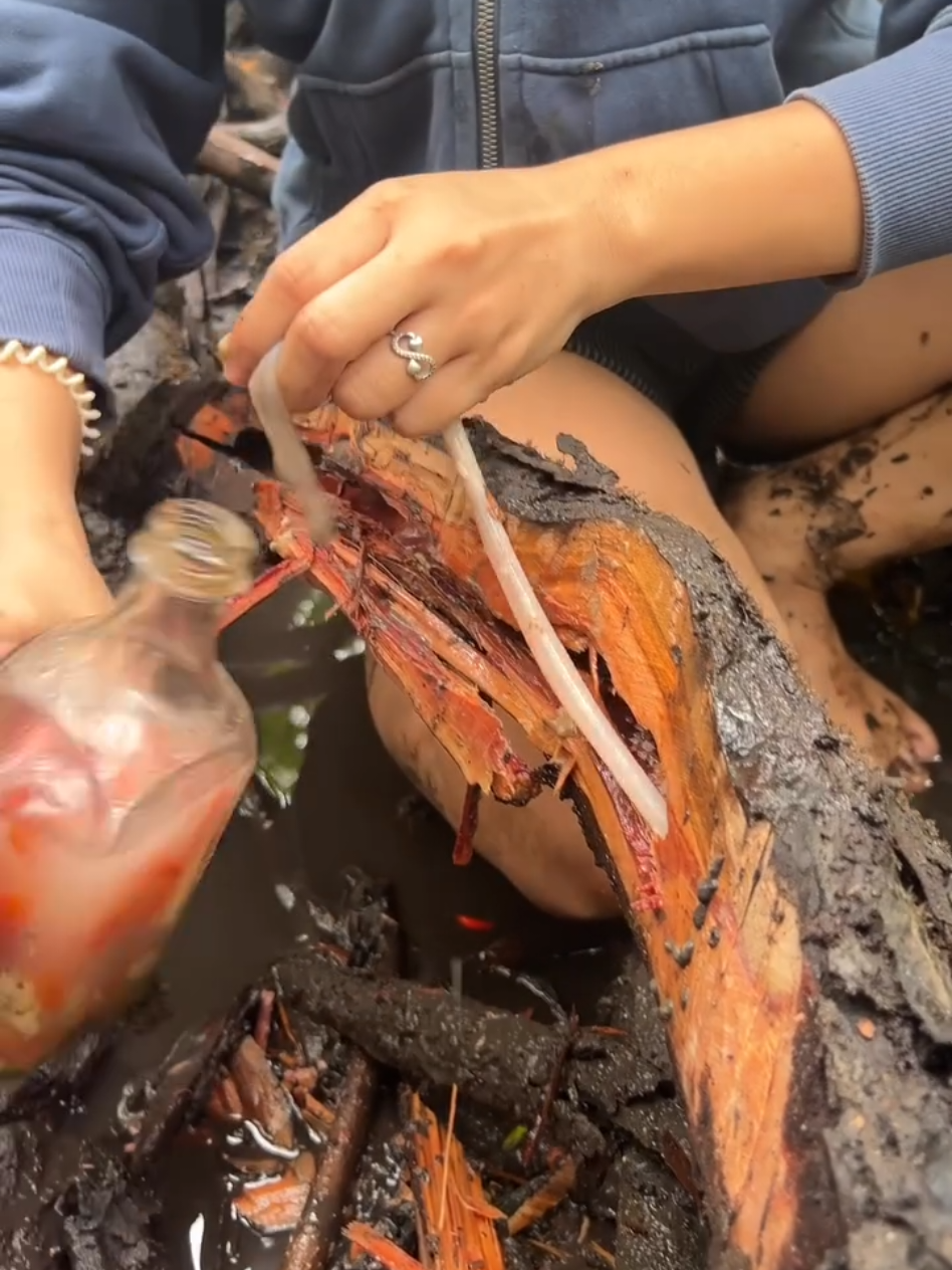 fresh woodworm nilaw 🐛🪵 #fyp #seafood 