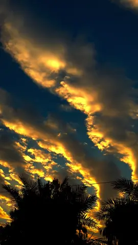 -إن أرَادَها لكَ اللَّه ، جعل في تَعسِيرهم التَّيسِير، وَفِي ضُرِّهُم النَّفع، وَفتحَ لها المَخرَج مِن بَين أبوَابهم المُوصَدَة 