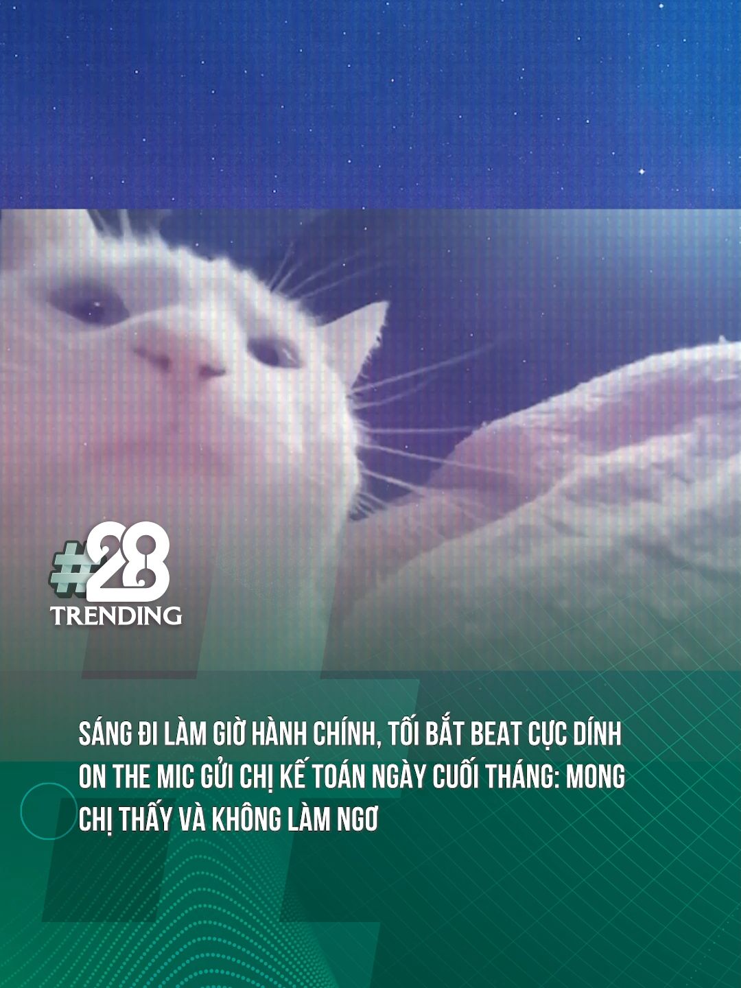 MONG CHỊ KẾ TOÁN THẤY VÀ KHÔNG LÀM NGƠ #8WONDER #8WONDERWinter #SymphonyofStars #theanh28 #theanh28trending #tiktoknew #tiktokgiaitri