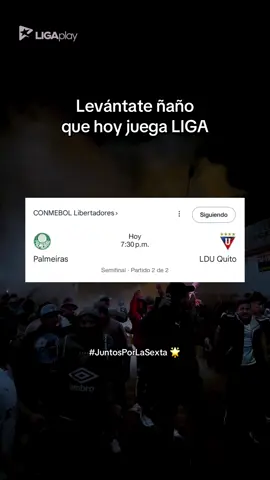 Vamos LIGAAAAA! 🇲🇨 A 90’ de volver a una final de Libertadores 🏆🥺 #LDU #LigavsPalmeiras #CopaLibertadores 