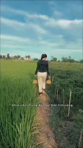 Có dịp về gò Công Nhi hái dừa cho uống nè… chặt dừa là khách nha e hỏng biết chặt 🥰#CapCut #mientay 