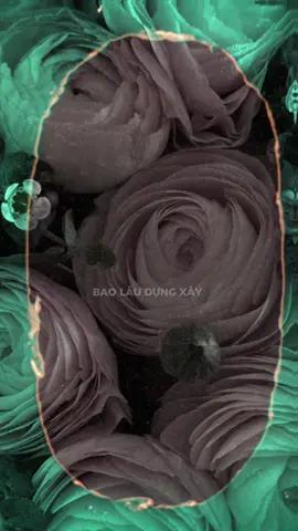 Mẫu #CapCut | Quá đỗi nuông chiều.. | #emthuacota #zenith #capcutpioneer #pioneertemplate 