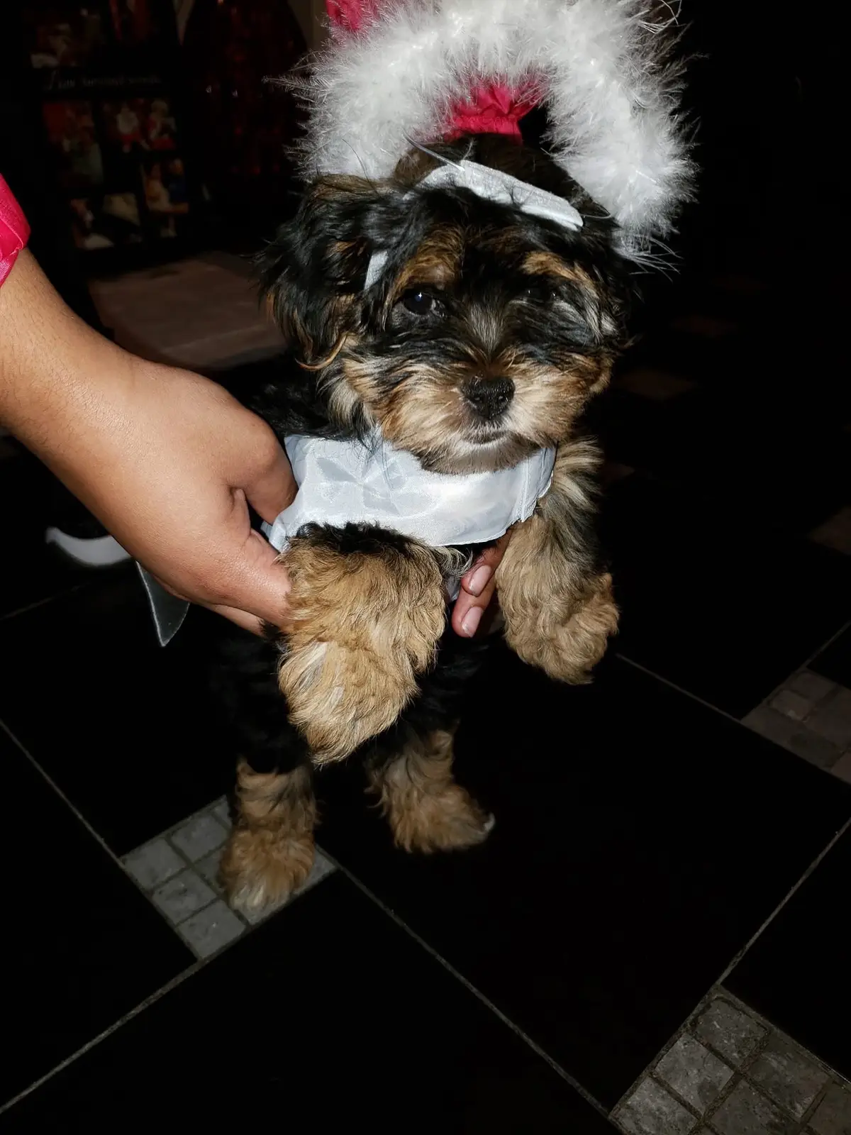 my heart and my world, my princess🤍 