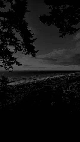 لاشيء يعلو فوق كرامتك 🌊🌊🌴✨️💎🕊#من_روائع_الكلام #خواطر_ملهمة #اقوال_حكم #اقتباسات #خواطر 