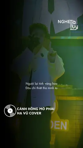 Thương thay phận hồng nhan #canhhongmophai #havu #nhachaymoingay #xuhuong #viral