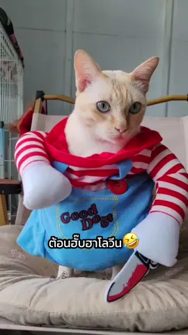 แฮร่!!! 🤣 แม่เห่อของใหม่ @Cola Family ครอบครัวของโคล่า 