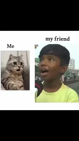 #tiktok #viralvideo #foryou #bangladesh🇧🇩 #প্লিজ_ভিডিওটা_ভাইরাল_করো 